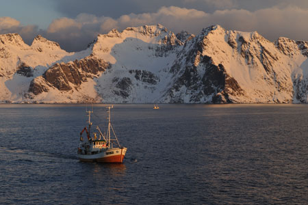Blick auf die südliche Lofotenwand der Moskenesøya