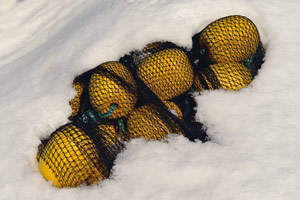 Fischernetz im Schnee - Netart