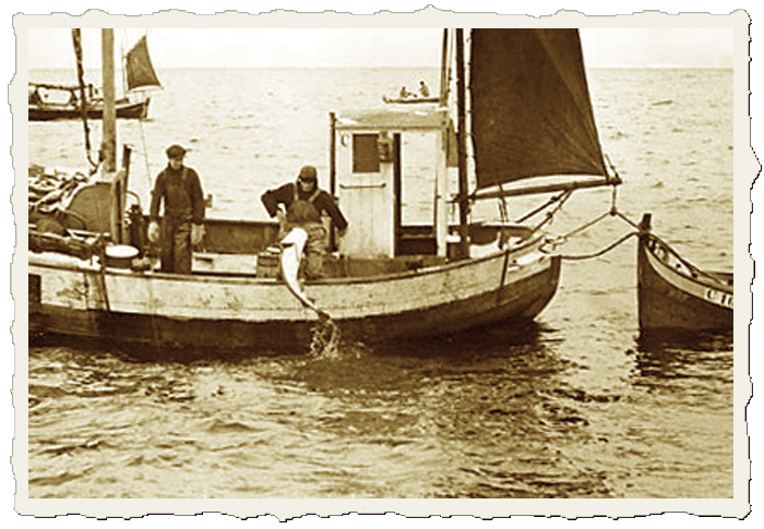 Der Lofot-Fischfang - Historische Aufnahme
