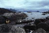 Zum Reisebericht Fjordpaddeln in Norwegen